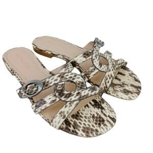Coach Women 6‎ Kennedy Leather Snakeskin Slide Sandals Brown & Silver Monogram C
